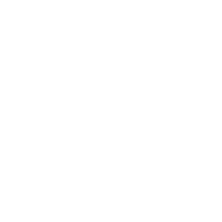 Violence
